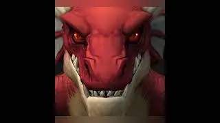 Dragonflight Dragon riding customization options