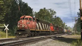 TRS19 : CN 2401 [C40-8M] Long Manifest