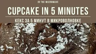 Кекс в микроволновке/ Cupcake in the microwave