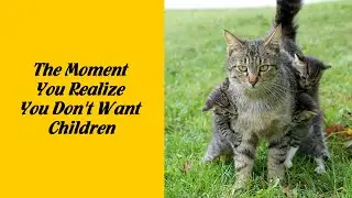 50 Animal Expressions That Perfectly Sum Up What It's Like To Be A Mother - Funny pet