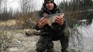 Язи монстры,🐬  Открываем сезон летней  рыби🎣. Летняя рыбалка 2021.
