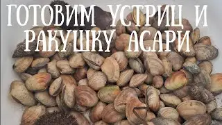 Сахалин - устрицы и ракушка Асари oyster