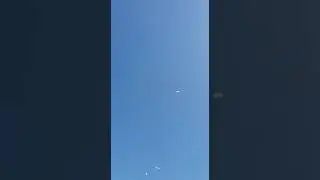 Бойные голуби Казахстана, Петра Ан Талдыкорган.