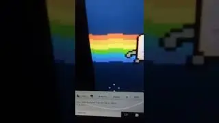 Nyan cat on 2011 YouTube in 2023