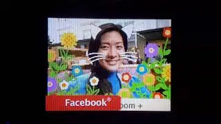 Nintendo DSI Plus Internet Promo Video