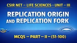 REPLICATION ORIGIN AND REPLICATION FORK