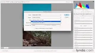 Choosing output settings - Adobe Photoshop Essential