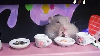 Hamster escape the Alice in Wonderland