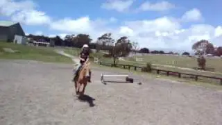 The Squirts horses n a camera! =P