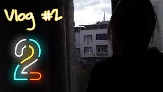 Vlog #2