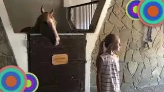 БалиТай и летние каникулы с Софией Садыковой 6