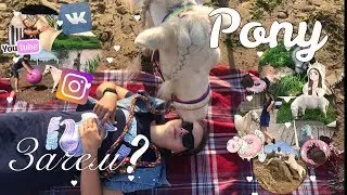 Зачем мы купили пони? Пони - это скучно?
