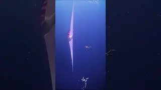 Thalassophobia #1: Mysterious world under the ocean | #shorts #creature #mysterious