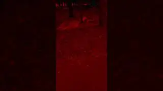Белоусовский парк
