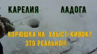 Корюшка в Карелии 10 02 23 Долбит на хлыст-кивок!!! сам не ожидал.