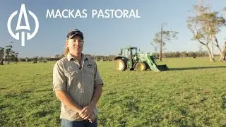 Virtual Intern Platform || Macka's Pastoral