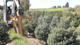 Root Pruning 2012