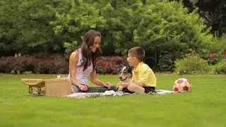 Picnic. Stock Footage