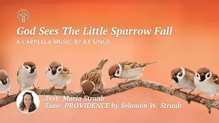 God Sees The Little Sparrow Fall (PROVIDENCE) - Beautiful Old Hymn