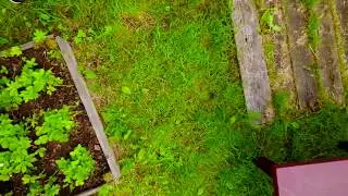 DJI 0003