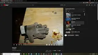 Coremaster flipping out over random sound in old video