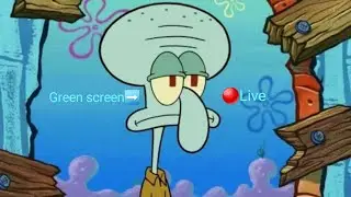 Squidward green screen