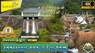 வால்பாறை 7th Heaven | Trek to Chinna Kallar Falls | Nirar Dam