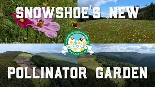 Snowshoe's New Pollinator Garden