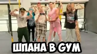 КАША, МАФАНЯ, ВЛАД И ДРУГАЯ ШПАНА В СПОРТЗАЛЕ | ДЕРЗКО ТРЕНЕР | +ЧАТ