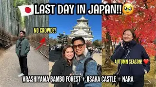 EXPLORING ARASHIYAMA & NARA JAPAN 🇯🇵 | BAMBOO FOREST + NARA DEER PARK + OSAKA CASTLE