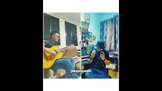 Wild World (Cover)