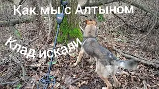 Как мы с Алтыном клад искали.