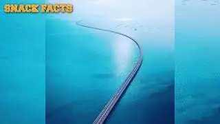Longest Bridge in the World