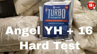 Дрожжи Ангел Хард тест спиртовых турбо дрожжей Angel YH + 16кг сахара