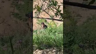 САЁҲАТ ДАР КӮҲҲОИ БАЛҶУВОН!