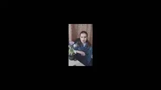 Шевченко