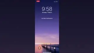 How to check for software update on an IPhone (Very Simple)