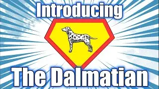 Dalmatian 101 - An Introduction To The Dog Breed