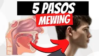 Cómo Hacer MEWING CORRECTAMENTE (En SÓLO 5 PASOS)