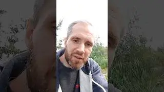 #природа #животные