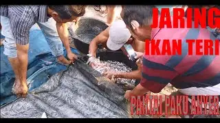 Penangkapan Ikan Teri Pantai Paku Anyer Banten