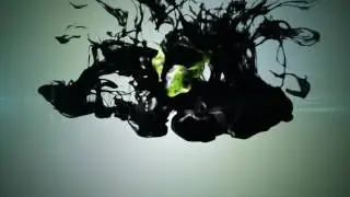 Ink Drops Logo Reveal | After Effects Template 3642245