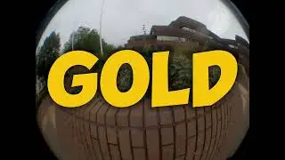 GOLD Wolverhampton Team Shove It (music)