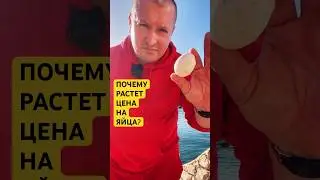 Цены на яйца растут? Почему?