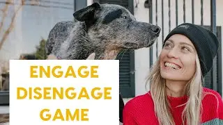 Engage Disengage Game – Reduce Your Dog's Reactivity!