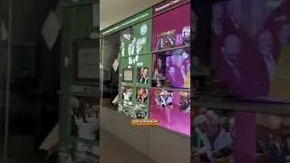 10 идей, чем заняться в Гааге. Часть 1 