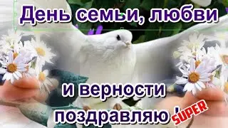 День семьи, любви и верности видео поздравления видео открытка в ДЕНЬ СЕМЬИ 8 июля
