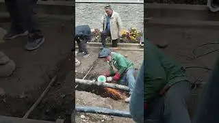 31 октября 2024 г.