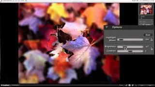 FocalPoint 2 - Stylizing The Blur That Appears In your Image