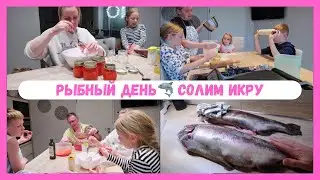 VLOG🇩🇪: Cleaning and salting caviar🦈we bought a lot of fish / quick and tasty cookies👍🏻🎄
